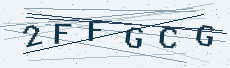Six-character security code